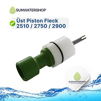 st Piston Fleck 2510 / 2750 / 2900