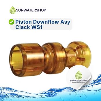 Piston Downflow Asy Clack WS1