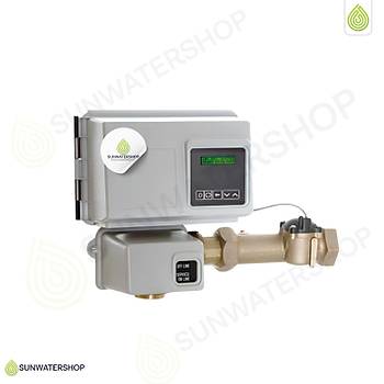 Fleck 2910 Filtre Valf