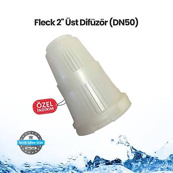 Fleck 2'' st Difzr (DN50)