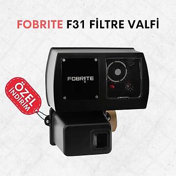 Fobrite F31 Filtre Valfi