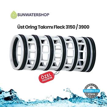 st Oring Takm Fleck 3150 / 3900