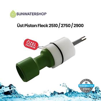 st Piston Fleck 2510 / 2750 / 2900