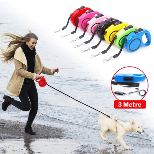 Otomatik Makaral Kpek Gezdirme Tasmas 3 Metre