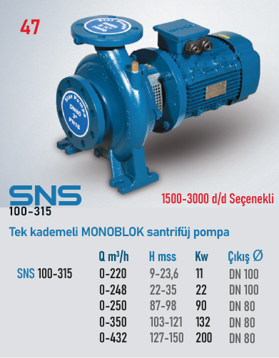 STAR POMPA SNS (100-315) 1500 d/d 22kW Santrifüj Pompa