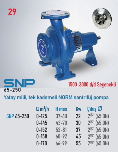 STAR POMPA SNP (65-250) 3000 d/d 45kW Santrifüj Pompa