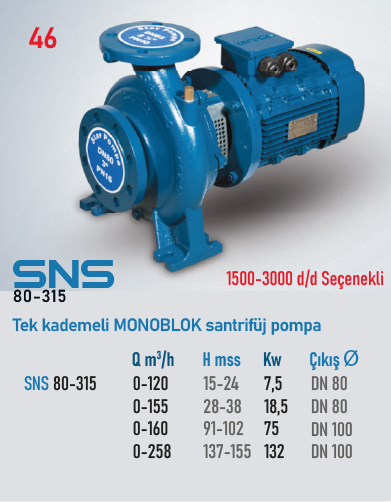 STAR POMPA SNS (80-315) 1500 d/d 7,5kW Santrifüj Pompa