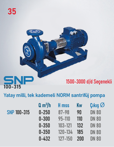 STAR POMPA SNP(100-315) 1500 d/d 22kW Santrifüj Pompa