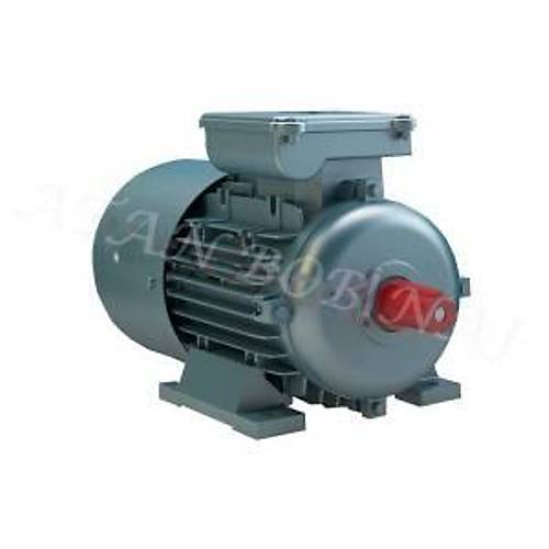 VOLT ELEKTRİK 3 KW 220 volt 3000 d/d VSSA 100 L2A ( MONOFAZ)
