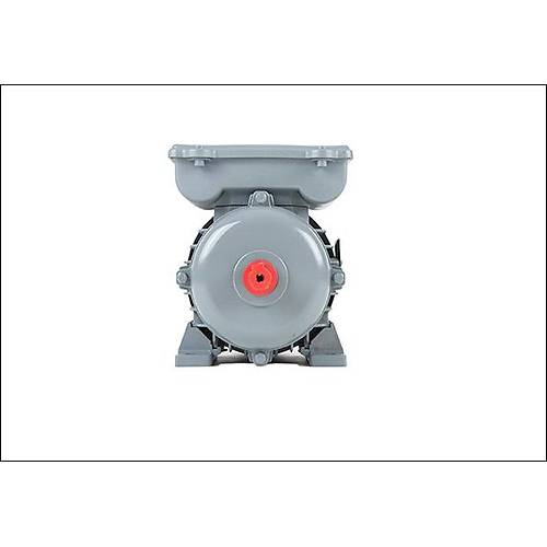VOLT ELEKTRİK 3 KW 220 volt 3000 d/d VSSA 100 L2A ( MONOFAZ)