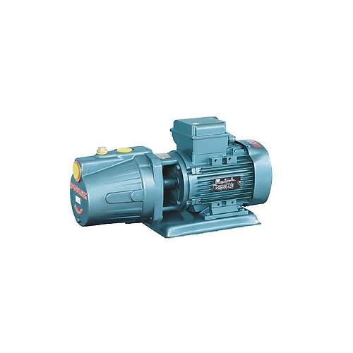 DOMAK JET100 1HP 220 V MONOBLOK MONFAZE SANTRFJ POMPA
