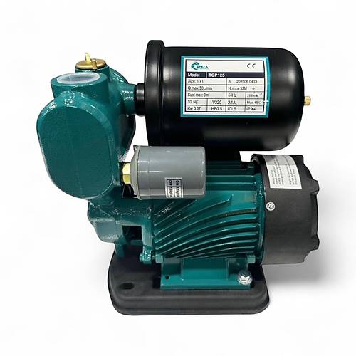 ROZA TGP125 Souk & Scak Su Basnlandrma Pompas (Tazyik Pompas)