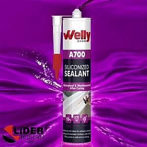 Welly A700 Silikonize Mastik (450 gr )