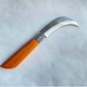 Ar�c� �ak�s�