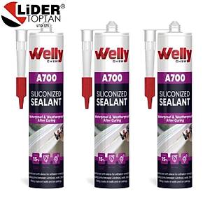 Welly A700 Silikonize Mastik 1 Koli (450gr)