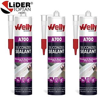 Welly A700 Silikonize Mastik 1 Koli (450gr)