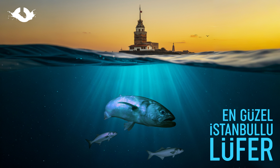 En G�zel �stanbullu