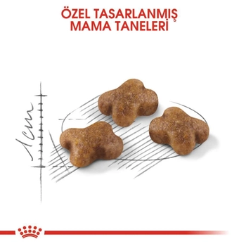 Royal Canin Kitten 36 Yavru Kedi Mamas 10 Kg