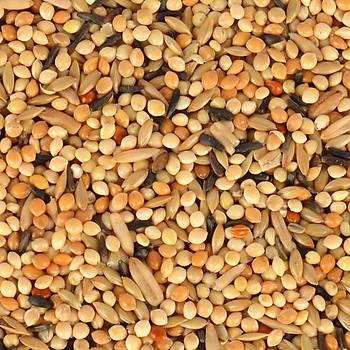 Quik Junior Yavru Muhabbet Yemi 400gr