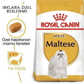 Royal Canin Maltese Bichon Yetişkin Köpek Maması 1,5 kg