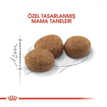 Royal Canin Sterilised 37 Ksrlatrlm Kedi Mamas 4 Kg