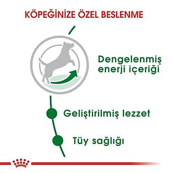 Royal Canin Mini Adult Kpek Mamas 4 kg