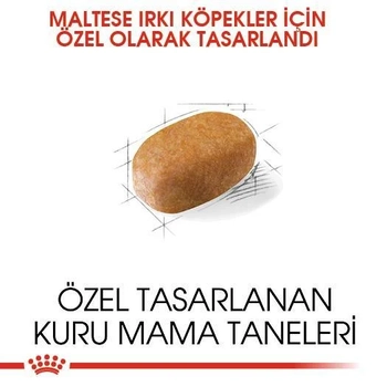 Royal Canin Maltese Bichon Yetikin Kpek Mamas 1,5 kg