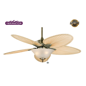 Fanimation - Windpointe 132 Cm. Ger�ek Palmiye Yapra�� Kanatl� Ayd�nlatmal� Tavan Vantilat�r�