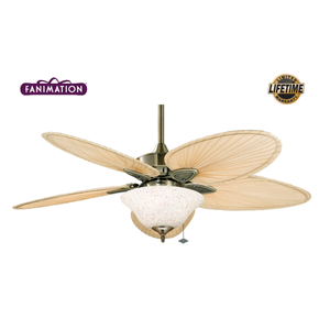 Fanimation - Windpointe 132 Cm. Ger�ek Palmiye Yapra�� Kanatl� Ayd�nlatmal� Tavan Vantilat�r�