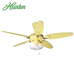 Hunter - Alchemy Lime - 137 Cm. �effaf Lale Cam Ayd�nlatmal� Tavan Vantilat�r�