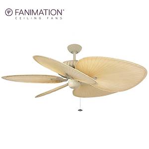 Fanimation - Belleria Latte 137 Cm. Geni� Ger�ek Palmiye Yapra�� Kanatl� Tavan Vantilat�r�	