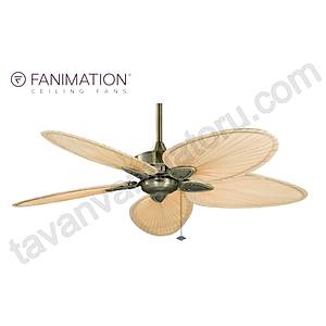 Fanimation - Windpointe 132 Cm. Palmiye Yapra�� Kanatl� Tavan Vantilat�r�
