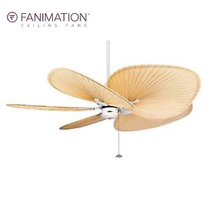 Fanimation - Islander Mat Beyaz - 137 Cm. Palmiye Kanatl� Tavan Vantilat�r�