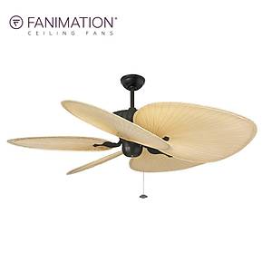 Fanimation - Belleria Dokulu Siyah - 137 Cm. Tavan Vantilat�r�