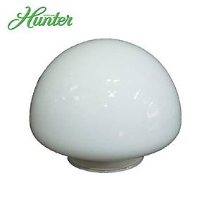 Hunter - Portlant Cam� - 1 Adet