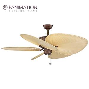 Fanimation - Belleria Kaplumba�a Kabu�u - 137 Cm. Ger�ek Palmiye Kanatl� Tavan Vantilat�r�