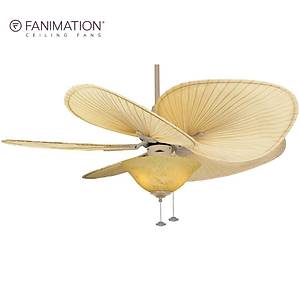 Fanimation - Islander Latte - 132 Cm. Ayd�nlatmal� Tavan Vantilat�r�