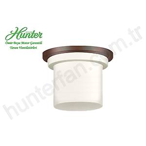 Zonix Ayd�nlatma - Ya�l� Bronz