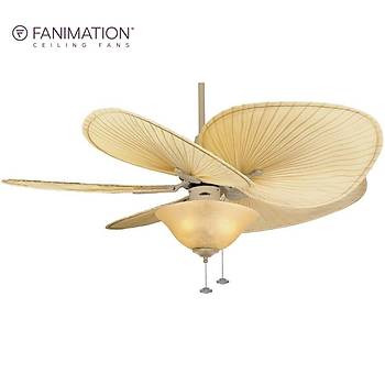 Fanimation - Islander Latte - 132 Cm. Aydnlatmal Tavan Vantilatr
