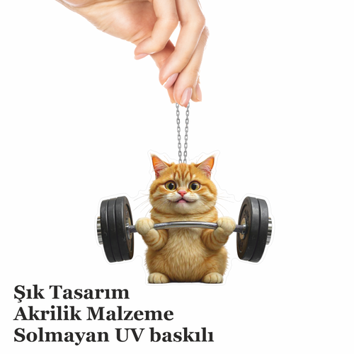 Araba Ayna Ss Halterci Kedi, Pleksi Malzeme, UV Baskl