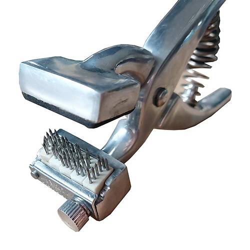 D�vme pensi, k���k boy