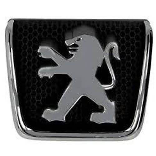 OR�J�NAL 307 ESK� KASA AMBLEM 7810G8