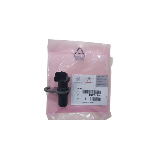 ORJNAL 307 KRANK DEVR SENSR EW10J4 -DW10 19207N