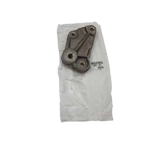 ORJNAL 307 EW10J4 ANZUMAN BALANTISI - AS NO KONTROL 1807Z1