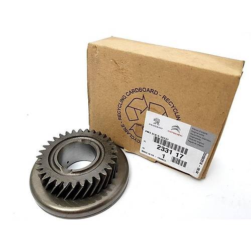 ORJNAL 307 ANZUMAN 3. VTES DLS BE4R 233117