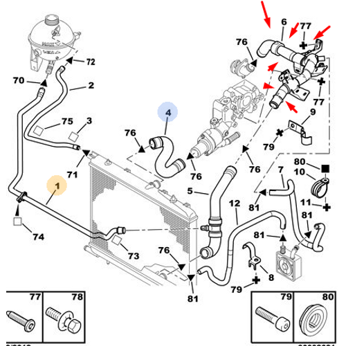 OR�J�NAL 307 RADYAT�R �IKI� ARKA AHTAPOT HORTUM OTOMAT�K 1351CL