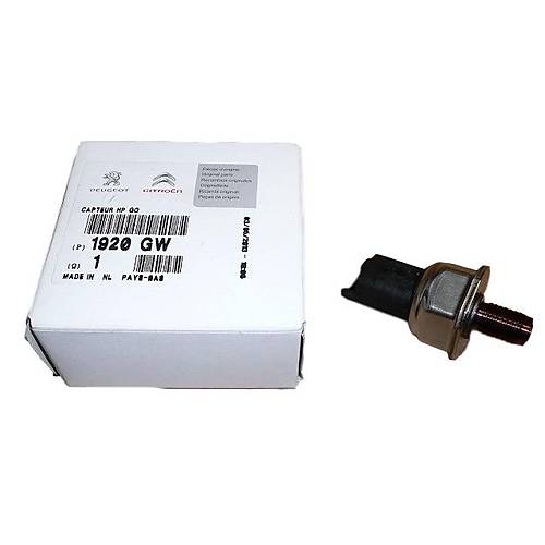 ORJNAL 307 RAMPA MR 1.6 HDI 2004-2008 1920GW