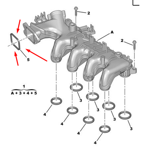ORJNAL 307  1.6  HDI EMME MANFOLT ORING  KARE TP 0348S5