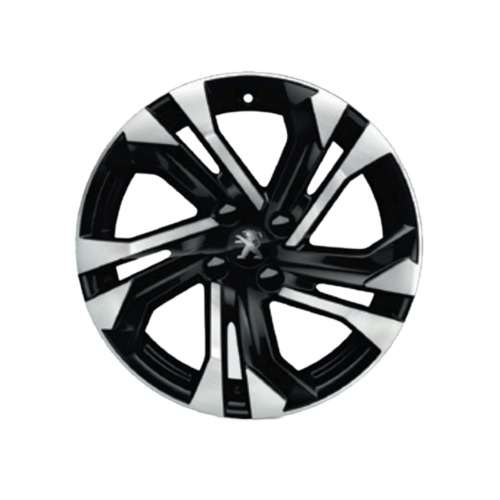 ORJINAL 307 �EL�K JANT SALAMANCA   - 17'  98281860XY