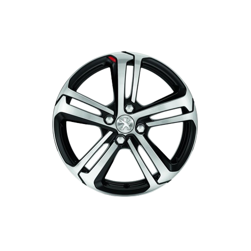 ORJINAL 307 �EL�K JANT TAKIMI CASIUM 17' -1614287580